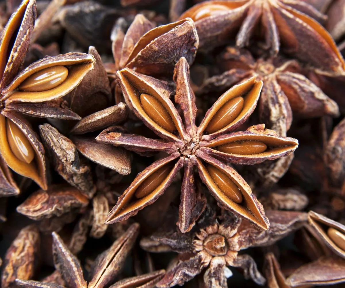star-anise-TMICORP